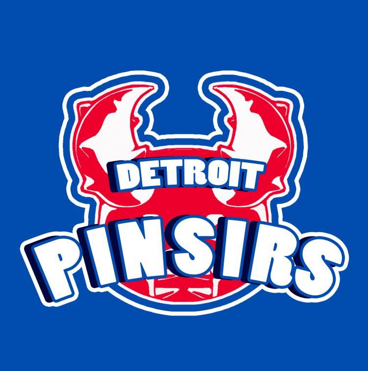 Detroit Pistons Pokemon logo iron on heat transfer